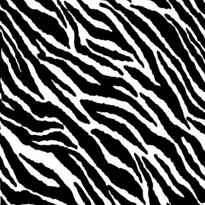 zebra texture #17